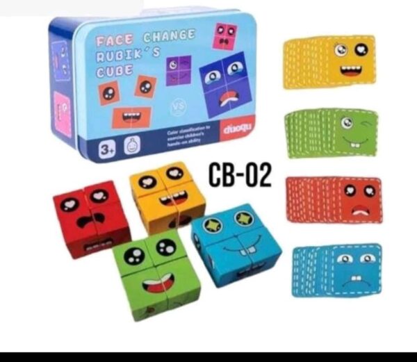 Cubic Face Puzzle